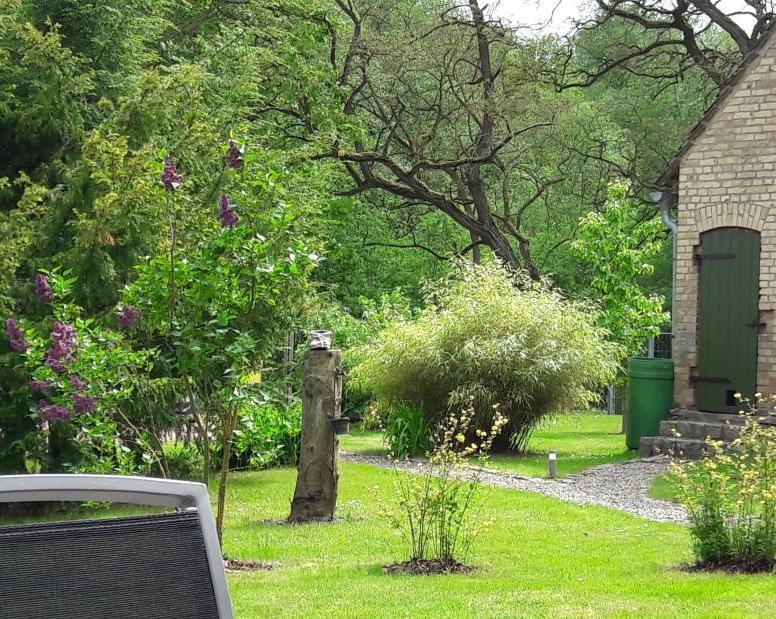 Gutshaus Zietlitz Hotel Dobbin-Linstow Kültér fotó